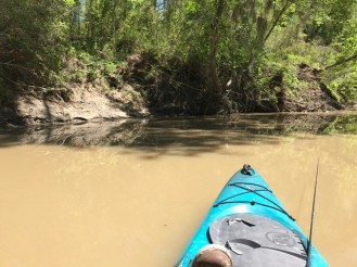 Harmon Creek 2017, from David D, 2